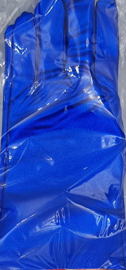 Carnival Costume Party Gloves Blue 40cm One Pair