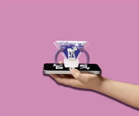 Playmobil Ice Crystal Princess 9350