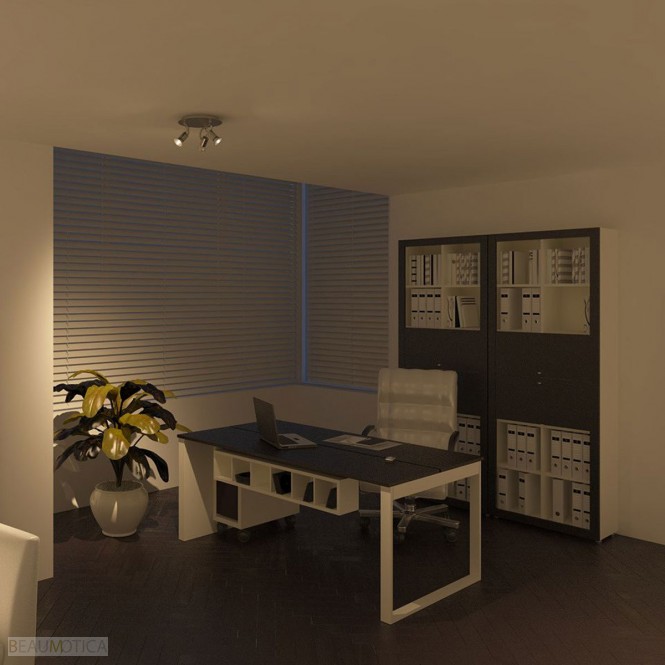 Philips Cadet Ceiling Spots